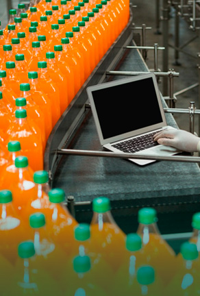 Processador de Alimentos
