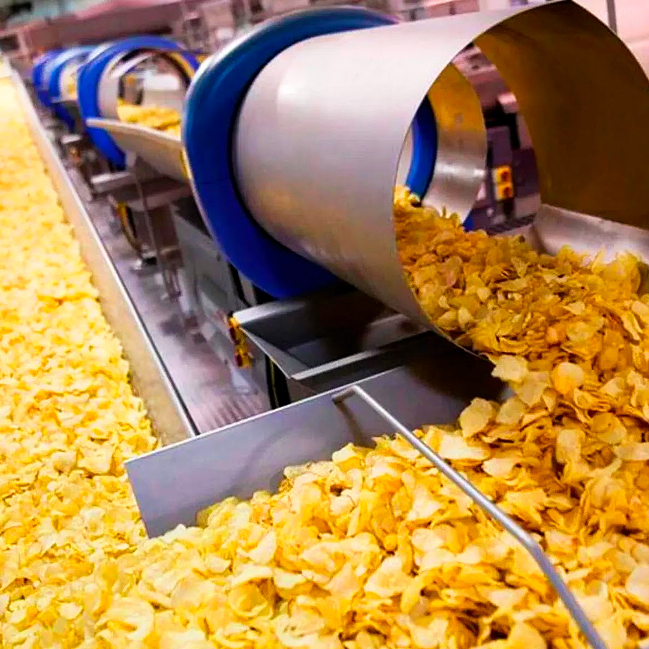 Processador de Alimentos