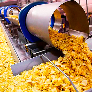 Processador de Alimentos